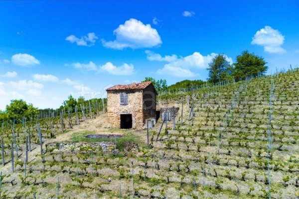 terreno agricolo in vendita a Bubbio