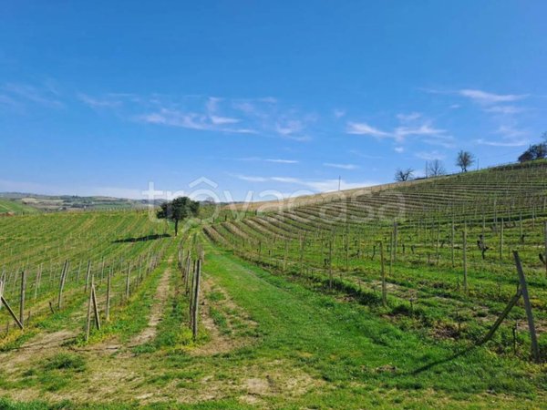 terreno agricolo in vendita a Calamandrana