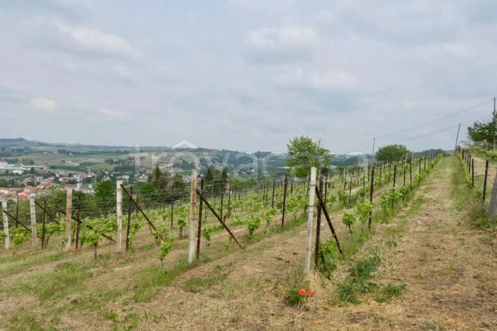 terreno agricolo in vendita a Calamandrana