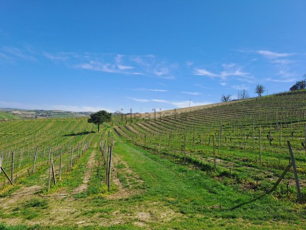 casale in vendita a Calamandrana in zona Quartino