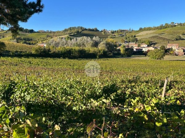 terreno agricolo in vendita a Calamandrana