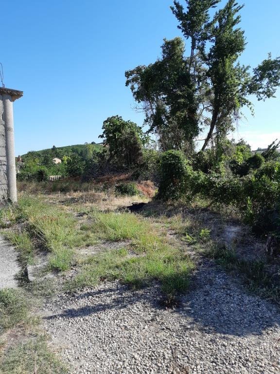 casa indipendente in vendita a Calamandrana