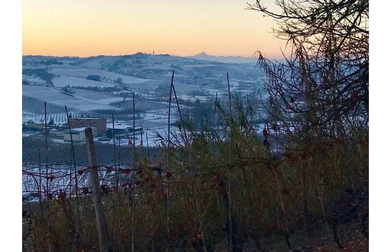 casale in vendita a Calamandrana