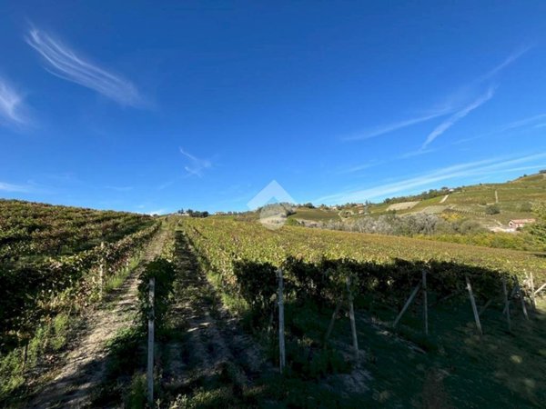 terreno agricolo in vendita a Calamandrana in zona Valle San Giovanni