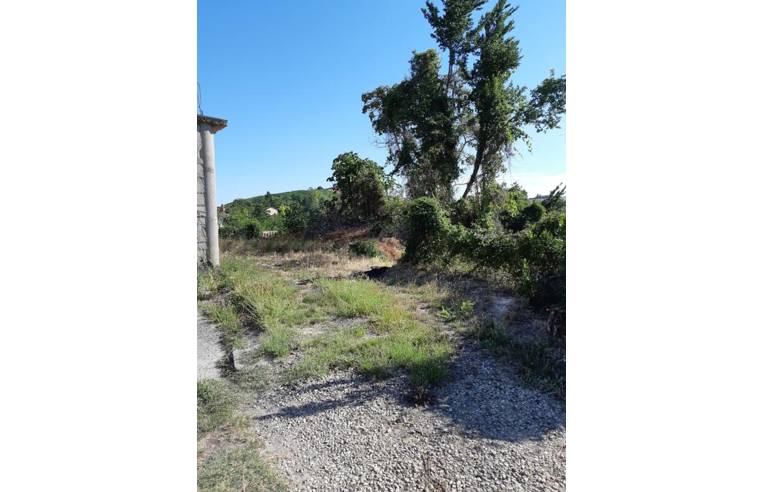 casa indipendente in vendita a Calamandrana