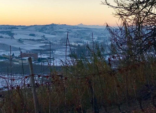casale in vendita a Calamandrana in zona Quartino