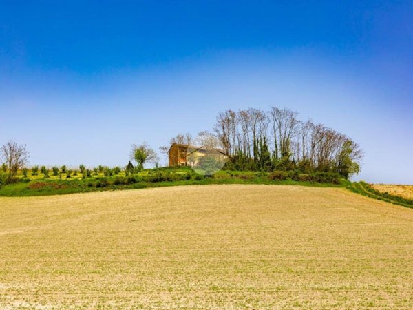 casa semindipendente in vendita a Calliano Monferrato