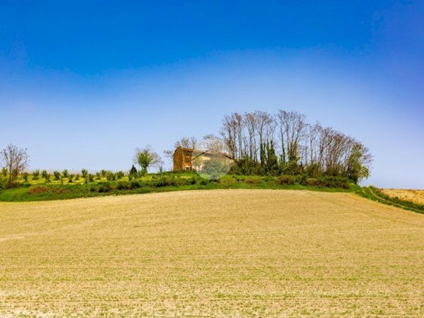 casa semindipendente in vendita a Calliano Monferrato