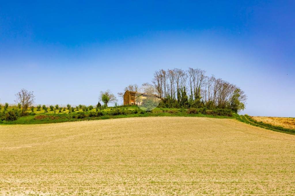 casa semindipendente in vendita a Calliano Monferrato