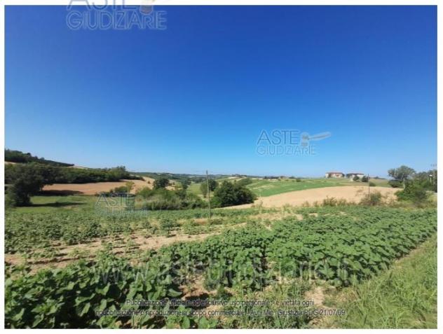 terreno agricolo in vendita a Calliano Monferrato