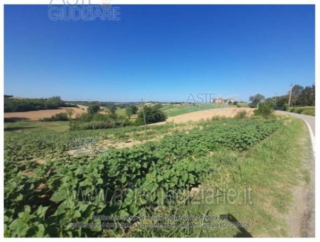 terreno agricolo in vendita a Calliano Monferrato