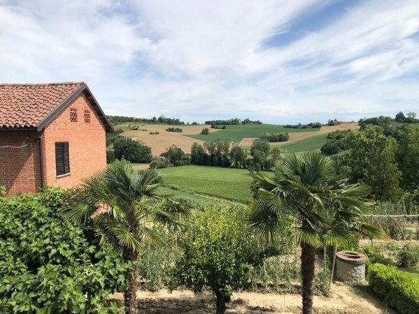 pentavano in vendita a Calliano Monferrato