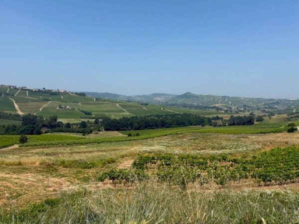 terreno agricolo in vendita a Calosso