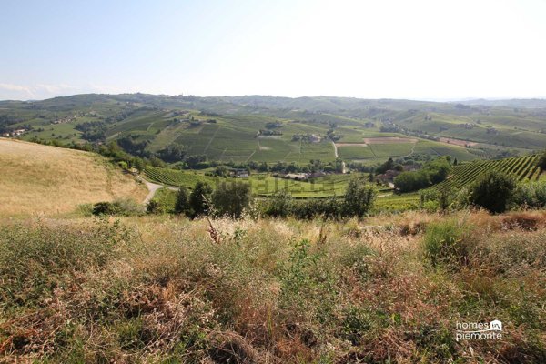 esavano in vendita a Calosso