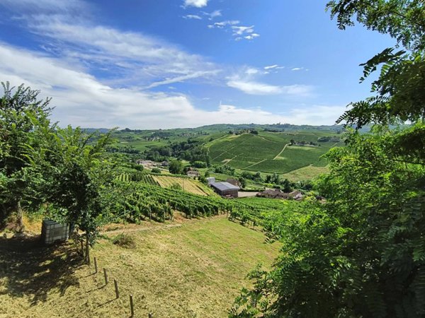 casa indipendente in vendita a Calosso