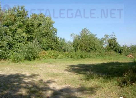 casa indipendente in vendita a Calosso