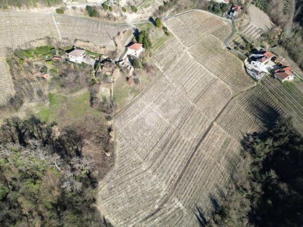 terreno agricolo in vendita a Calosso