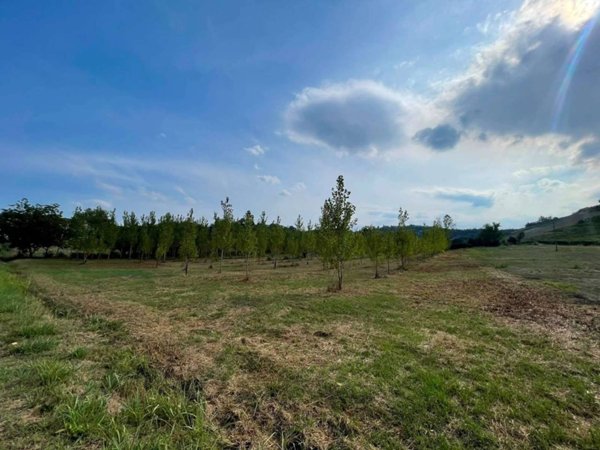 terreno agricolo in vendita a Calosso