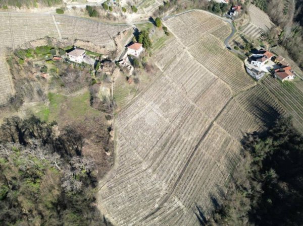 terreno agricolo in vendita a Calosso