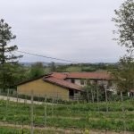 casa indipendente in vendita a Canelli