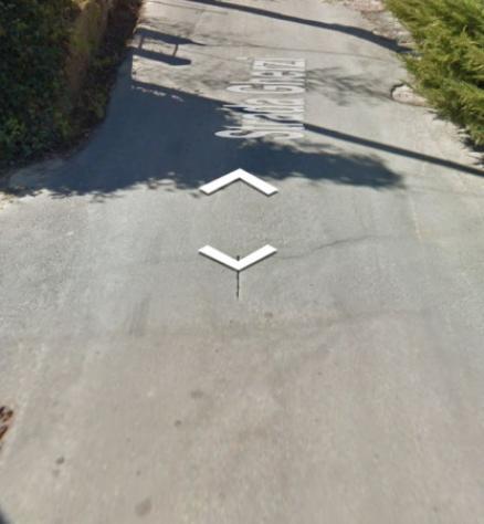 pentavano in vendita a Canelli