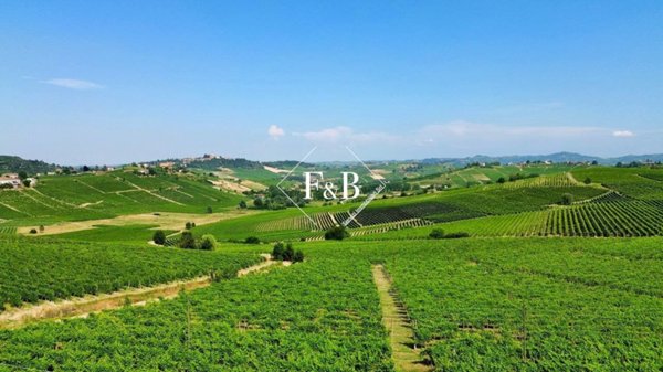 terreno agricolo in vendita a Canelli