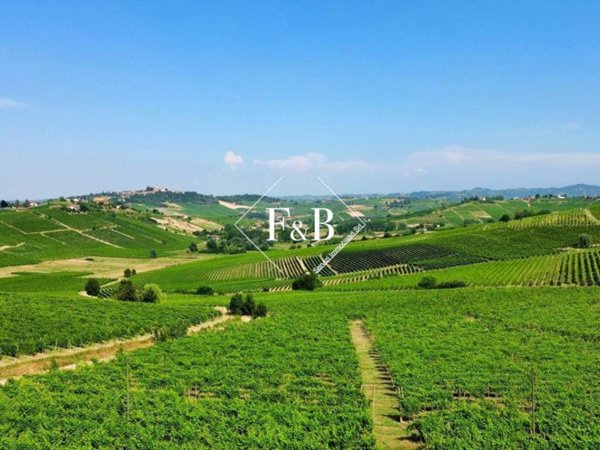 terreno agricolo in vendita a Canelli