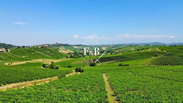 terreno agricolo in vendita a Canelli