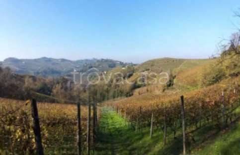 terreno agricolo in vendita a Canelli