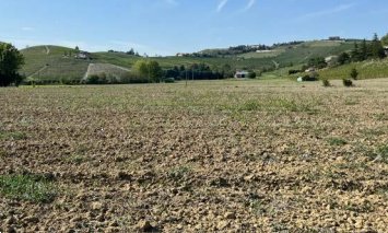 terreno edificabile in vendita a Canelli
