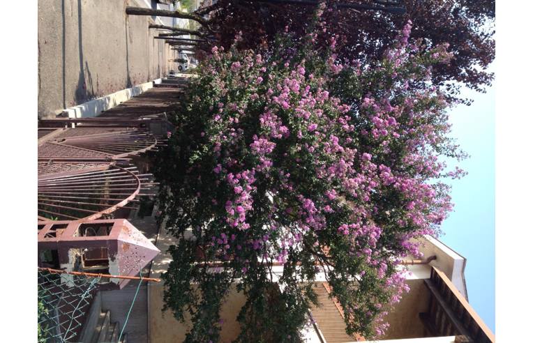 casa indipendente in vendita a Canelli