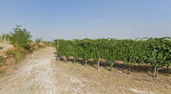 terreno edificabile in vendita a Canelli