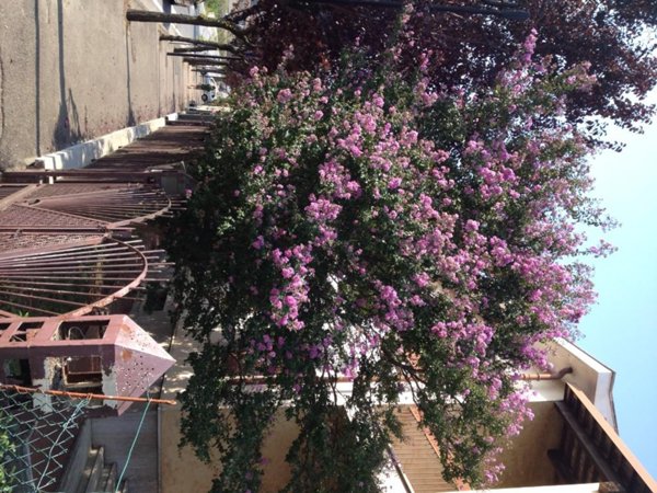 casa indipendente in vendita a Canelli