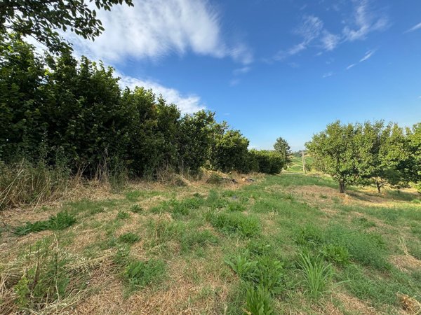 casa indipendente in vendita a Canelli