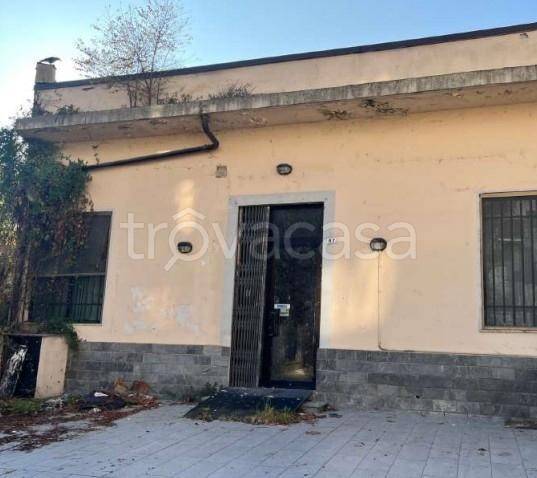negozio in vendita a Canelli