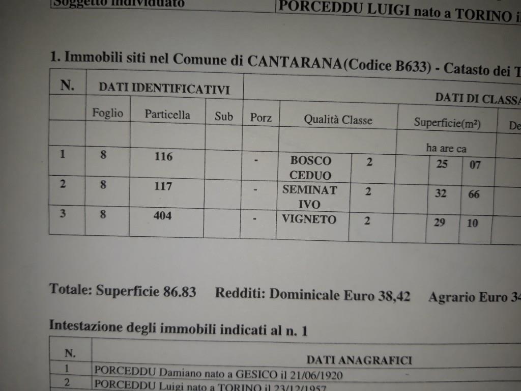terreno agricolo in vendita a Cantarana