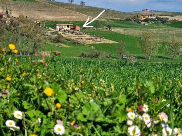 immagine annuncio 0 di 15