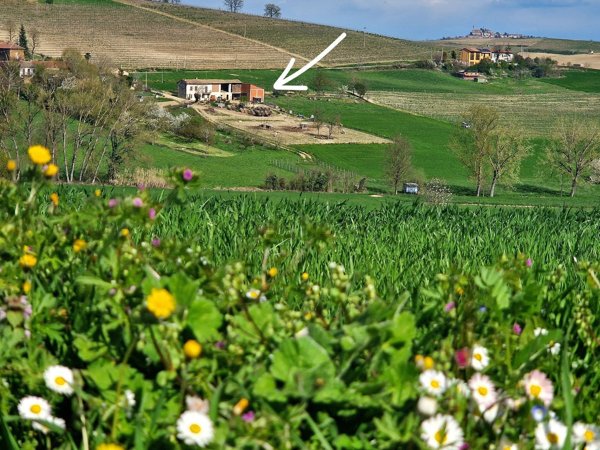 casale in vendita a Casorzo Monferrato