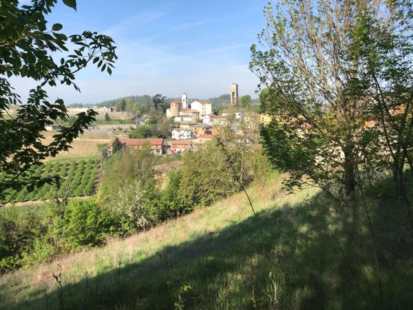 ufficio in vendita a Cassinasco