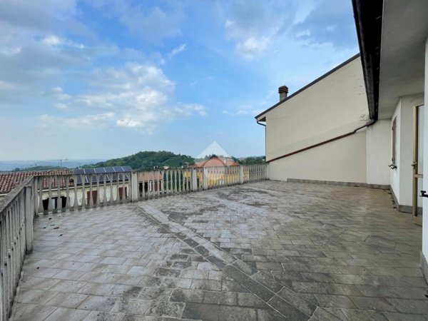 immagine annuncio 0 di 15