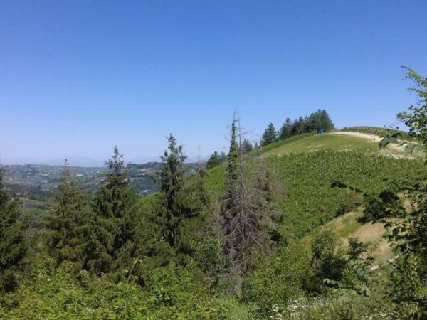 casale in vendita a Cassinasco