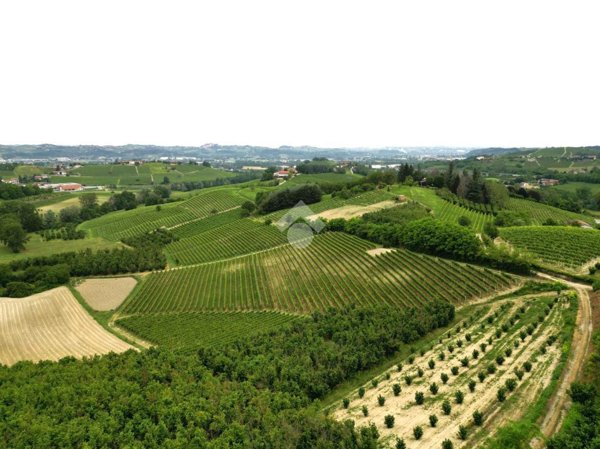 terreno agricolo in vendita a Castagnole delle Lanze in zona Valle Tanaro