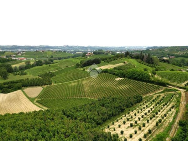 terreno agricolo in vendita a Castagnole delle Lanze