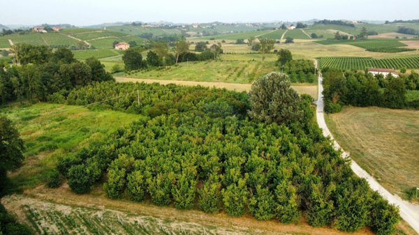 terreno agricolo in vendita a Castagnole delle Lanze