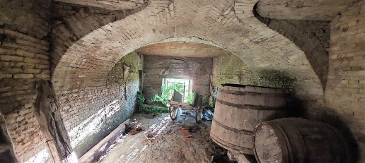 esavano in vendita a Castagnole delle Lanze in zona Carossi