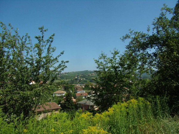 terreno agricolo in vendita a Castagnole delle Lanze in zona San Bartolomeo