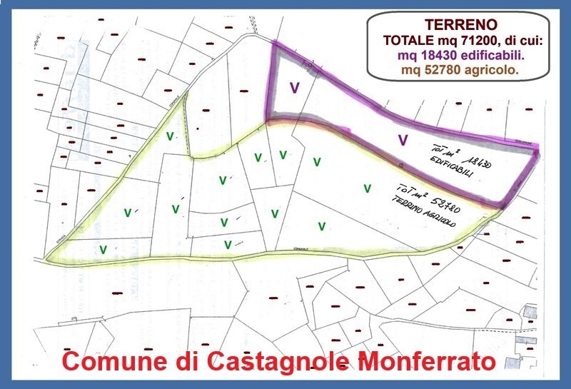 terreno agricolo in vendita a Castagnole Monferrato