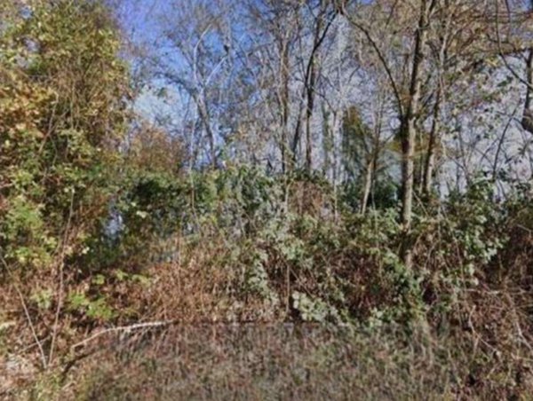 terreno agricolo in vendita a Castagnole Monferrato in zona Valvinera
