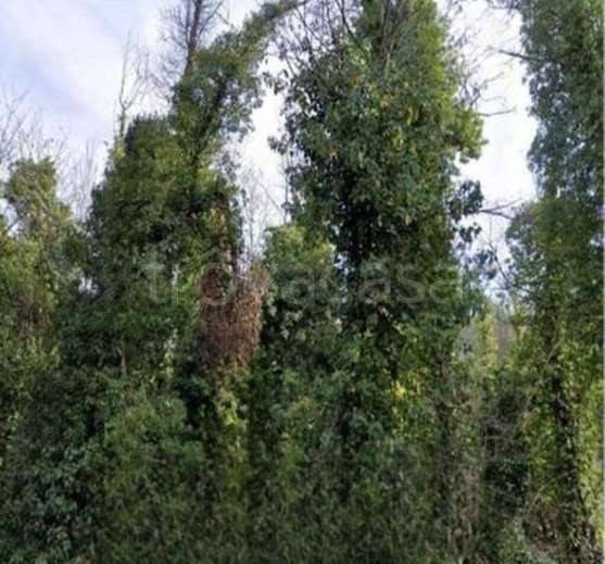 appartamento in vendita a Castagnole Monferrato in zona Valvinera