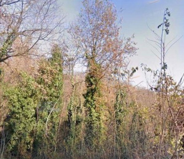 terreno agricolo in vendita a Castagnole Monferrato in zona Valvinera